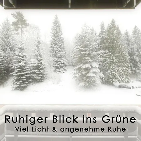 Lägenhet Workation Im Schwarzwald - Ruhig Mit Balkon & Pool